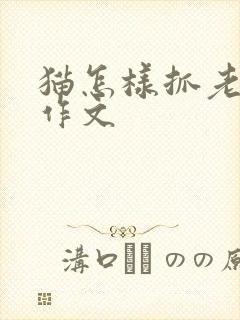 猫怎样抓老鼠的作文