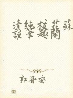 清纯校花苏软小说笔趣阁封面