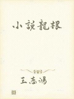小说龙根
