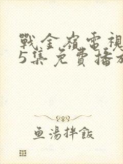 战金岭电视剧45集免费播放封面