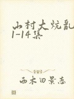 山村大炕乱肉续1-14集