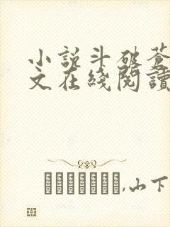 小说斗破苍穹全文在线阅读