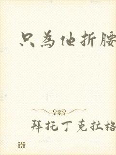 只为他折腰封面