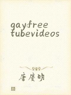 gayfreetubevideos