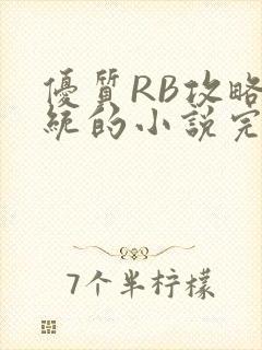 优质RB攻略系统的小说完整版封面