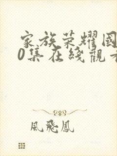 家族荣耀国语30集在线观看