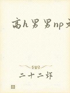 高h男男np文