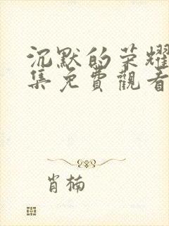 沉默的荣耀40集免费观看全集高清版