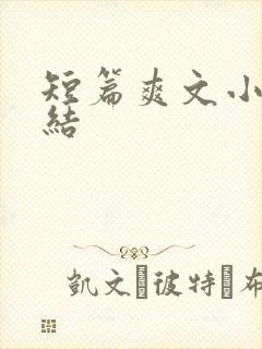 短篇爽文小说完结
