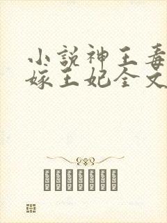 小说神王毒宠二嫁王妃全文