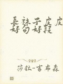 长袜子皮皮好词好句好段封面