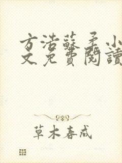 方浩苏柔小说全文免费阅读最新章节封面