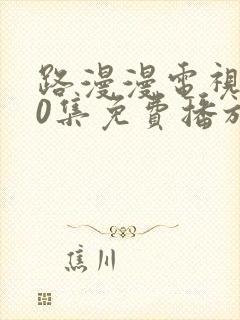 路漫漫电视剧40集免费播放