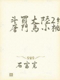 斗罗大陆2绝世唐门马小桃封面