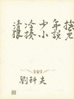 清冷少年挨爸爸狠揍小说免费阅读全