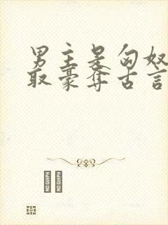 男主是匈奴的强取豪夺古言