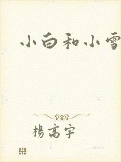小白和小雪封面