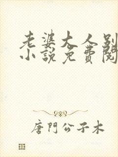 老婆大人别想逃小说免费阅读