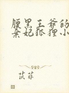 腹黑王爷的绝色弃妃狐狸小姝完整版