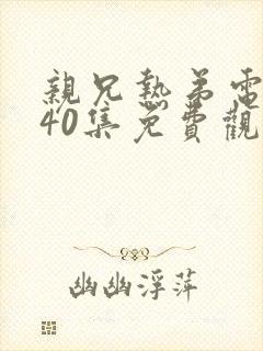 亲兄热弟电视剧40集免费观看