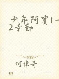 少年阿宾1—72章节