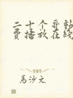 二十个哥动漫免费播放在线观看