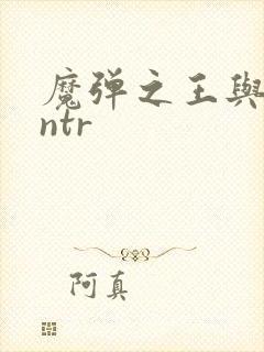 魔弹之王与战姬ntr封面