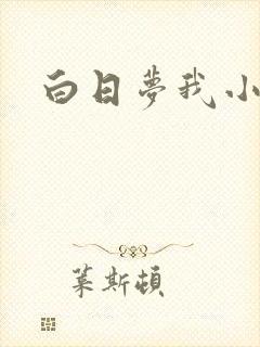 白日梦我小说
