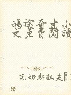 鸿途奇才小说全文免费阅读陆羽刘云峰封面