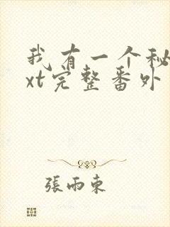 我有一个秘密txt完整番外