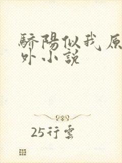 骄阳似我原著番外小说封面