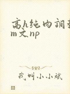 高h纯肉调教sm文np封面