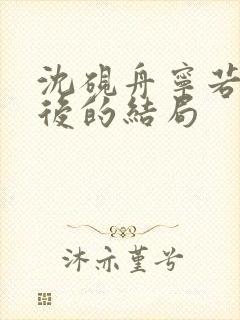 沈砚舟宁若曦最后的结局