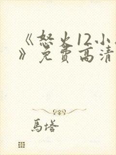 《怒火12小时》免费高清完整版