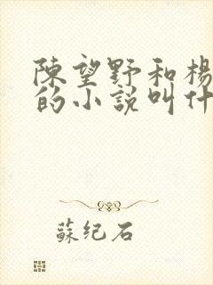 陈望野和杨雯月的小说叫什么