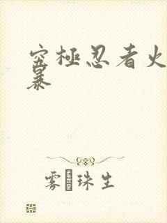 究极忍者火影风暴