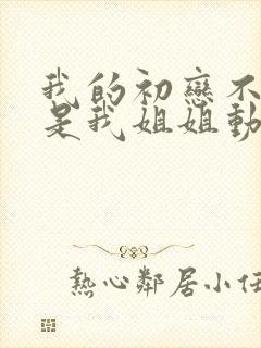 我的初恋不可能是我姐姐动漫观看封面