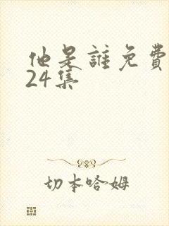 他是谁免费观看24集