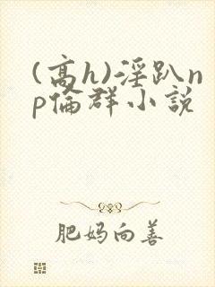 (高h)淫趴np伦群小说
