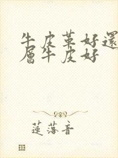 牛皮革好还是头层牛皮好