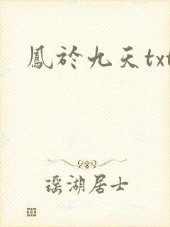 凤于九天txt