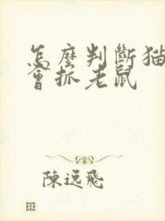 怎么判断猫会不会抓老鼠