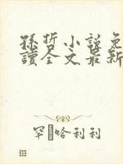 孙哲小说免费阅读全文最新章节