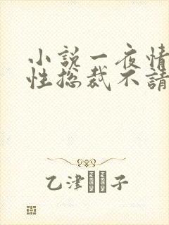 小说一夜情深狼性总裁不请自来txt全集下载