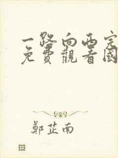 一路向西完整版免费观看国语电影