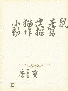 小猫捉老鼠连续动作描写封面