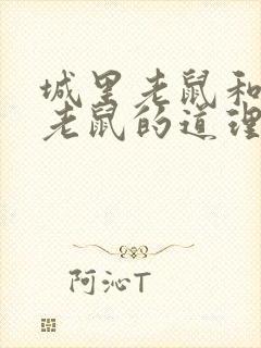 城里老鼠和乡下老鼠的道理