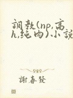 调教(np,高h,纯肉)小说
