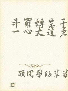 斗罗转生千仞雪一心大道免费阅读