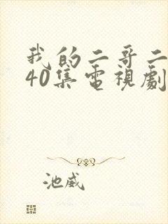 我的二哥二嫂第40集电视剧